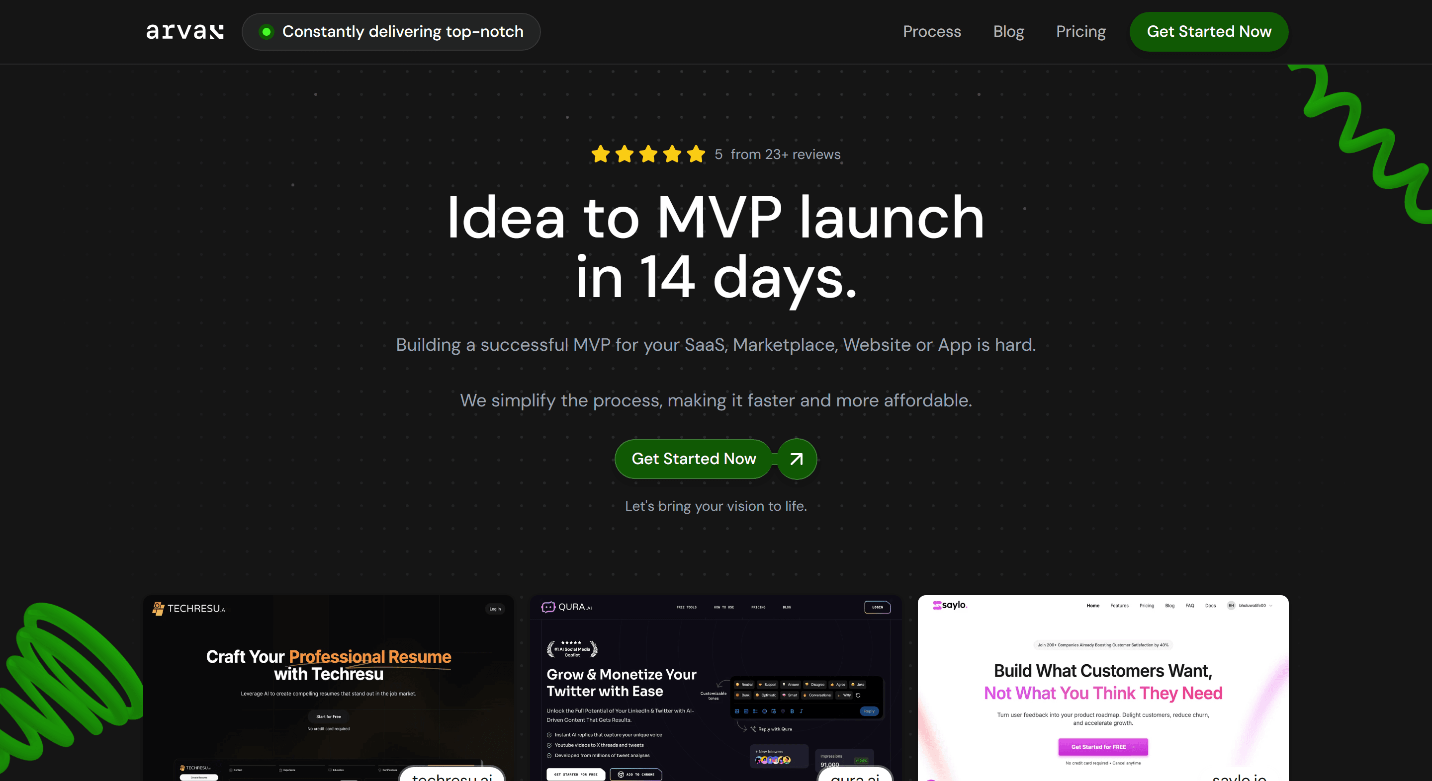 Screenshot of Arva MVP landing page hero section